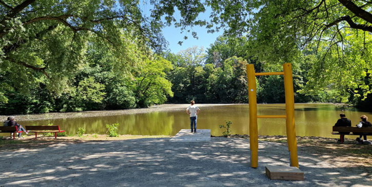 Buchen suchen - eine von 10 Natur-, Lehr- und Bewegungspfad Stationen am Wasser im Revierpark Vonderort Oberhausen