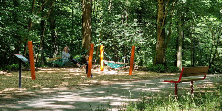Schwingen wie ein Buchenblatt - eine von 10 Natur-, Lehr- und Bewegungspfad Stationen im Revierpark Vonderort Oberhausen